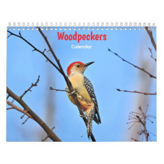 Woodpeckers Calendar Kalender