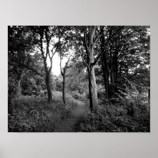 Woods Bute Park, Cardiff Poster (Vorne)