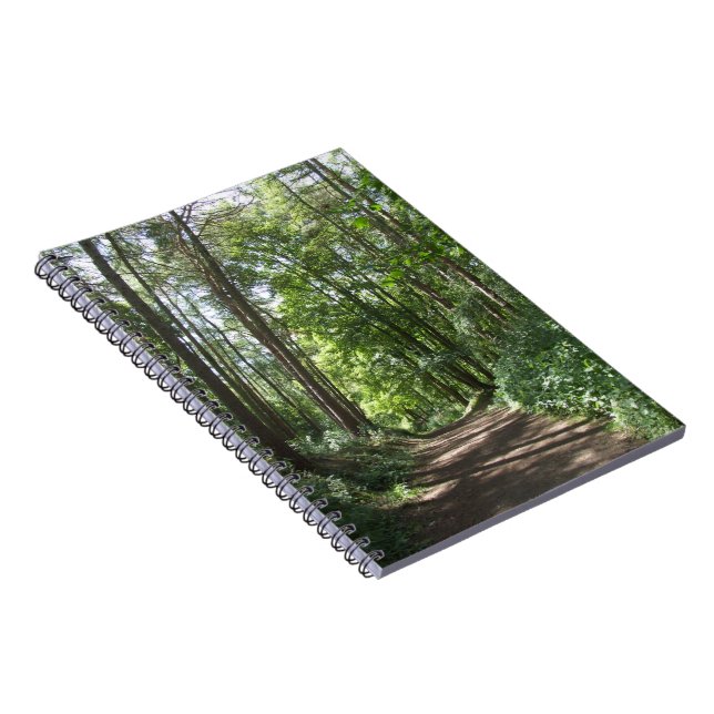 Woods Journal (Côté Droit)