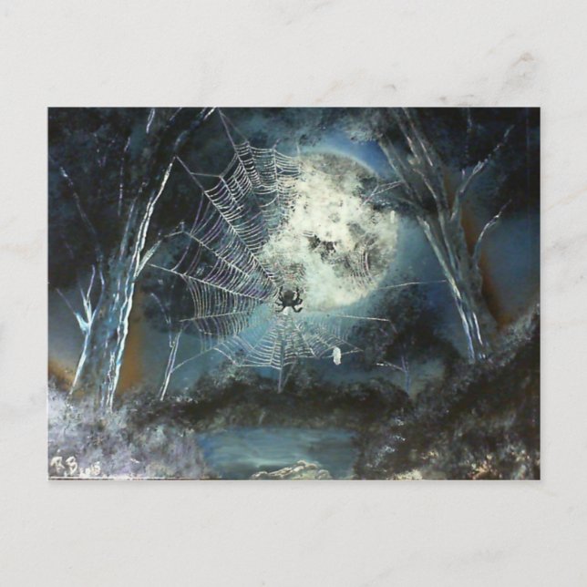 Woods Spider Postkarte (Vorderseite)