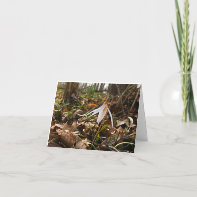 Woods Walking Inspirations Merci Cartes (Devant)