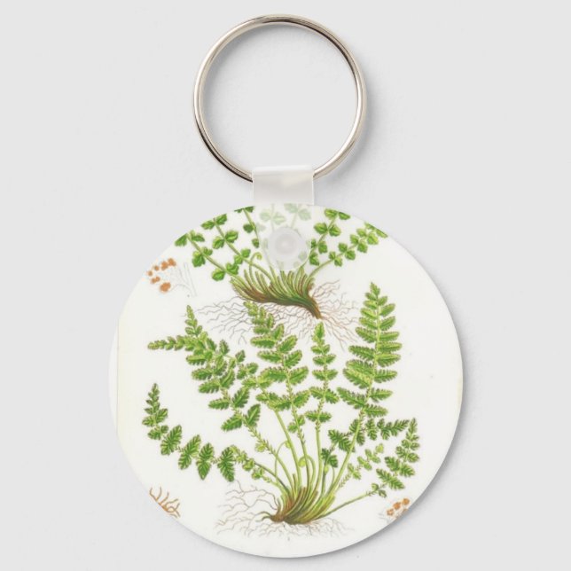 Woodsia Fern Schlüsselanhänger (Vorderseite)