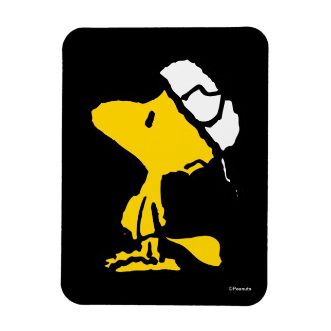 Woodstock Varsity Sports Letter Pattern Magnet (Vertikal)