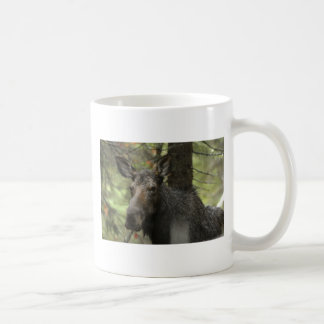 Woodsy Elch-Tasse Kaffeetasse