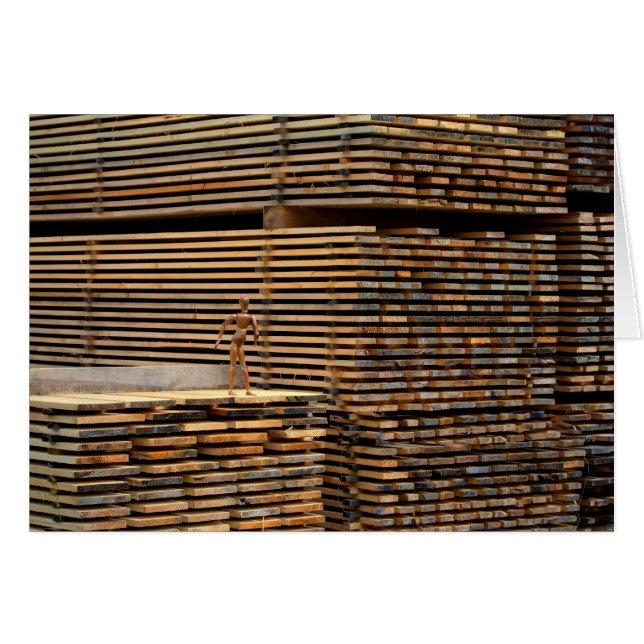 Woody Back to Roots (Vorderseite (Horizontal))