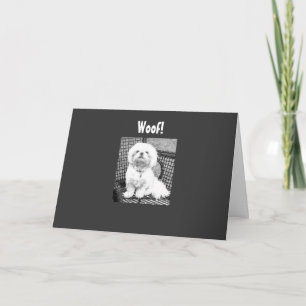 WOOF-U SIEHT GUT AUS FÜR "40" KARTE