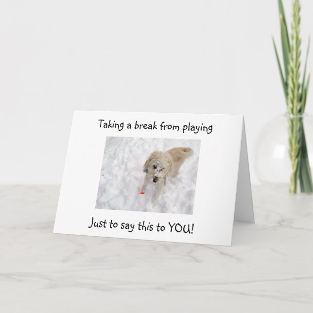 WOOF WOOF "50" SEMBLE BON SUR LA CARTE D'ANNIVERSA (Devant)