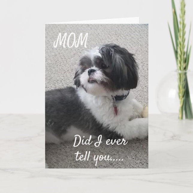 **WOOF WOOF** HEUREUX *ANNIVERSAIRE* À MA CARTE *M (Devant)