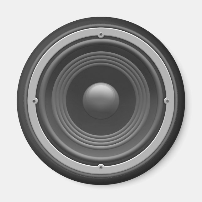 Woofer Magnet (Vorne)
