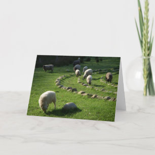 Woollabyrinth: Schafweiden in einer Pastoralszene Karte