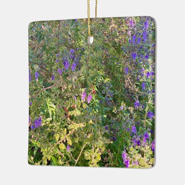 Wooly Bluecurls Keramikornament (Links)