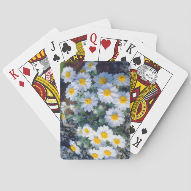 Wooly-Daisy-Wildblumen Spielkarten (Rückseite)