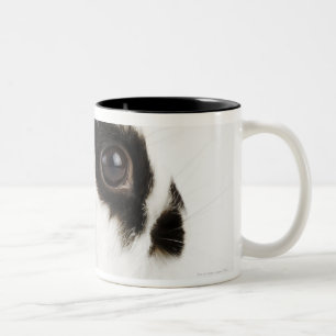 Wooly Kaninchen Jerseys Zweifarbige Tasse