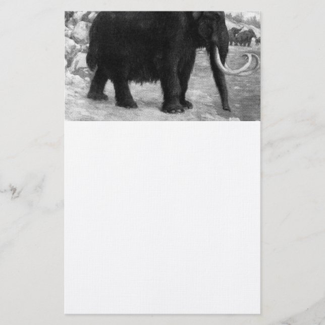 Wooly Mammoth Mod Destiny Briefpapier (Vorderseite)