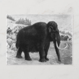 Wooly Mammoth Mod Destiny Postkarte