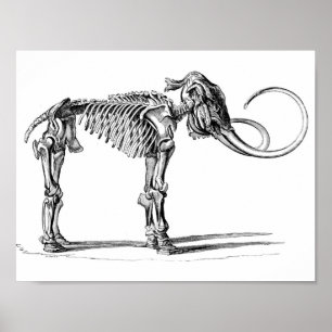 Wooly Mammoth Poster
