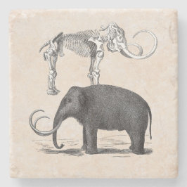 Wooly Mammoth Prähistorischer Elefant und Skelett Steinuntersetzer