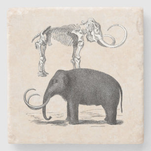 Wooly Mammoth Prähistorischer Elefant und Skelett Steinuntersetzer