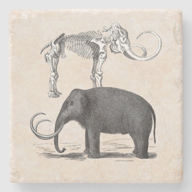Wooly Mammoth Prähistorischer Elefant und Skelett Steinuntersetzer (Vorderseite)