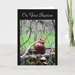 Word Buckeye Tree Sprout Erwachsene Taufkarte Karte