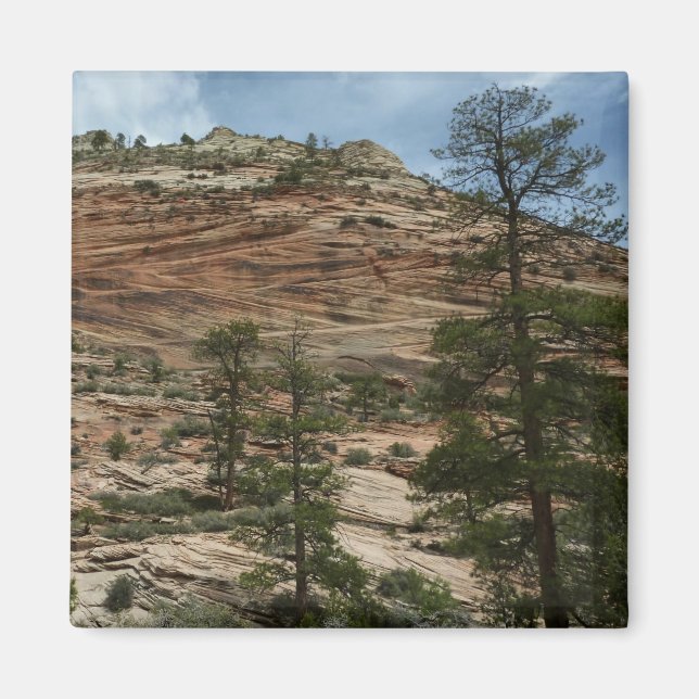 Work Rock Walls im Zion Nationalpark Magnet (Vorne)