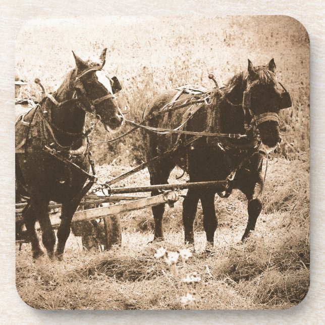 Working Amish Horses Sepia Getränkeuntersetzer (Vorderseite)
