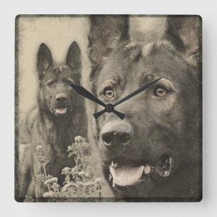 Working German Shepherd Dog  - GSD Quadratische Wanduhr