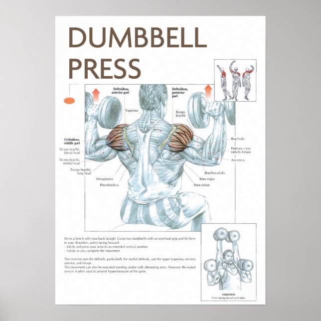 Workout Motivierend Poster (Vorne)