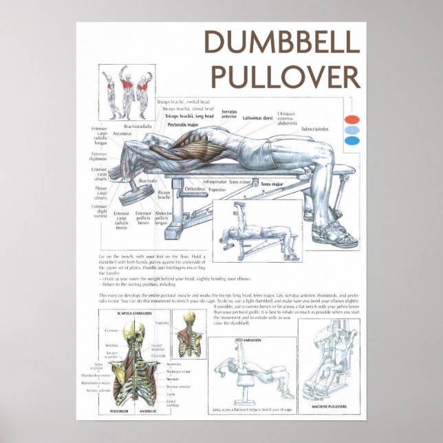 Workout Motivierend Poster (Vorne)