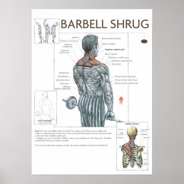 Workout Motivierend Poster (Vorne)