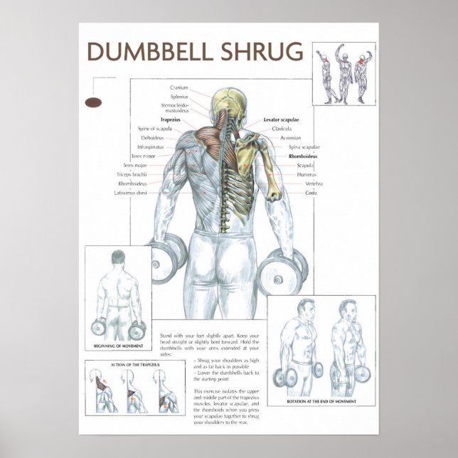 Workout Motivierend Poster (Vorne)