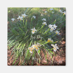 World2Celebrate : Iris Day Magnet