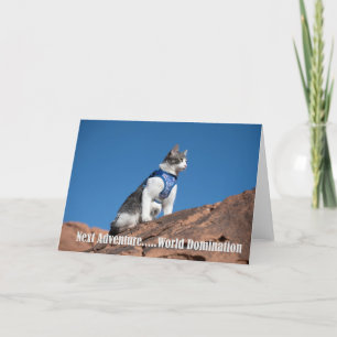 World Domination Cat notecard Ankündigung