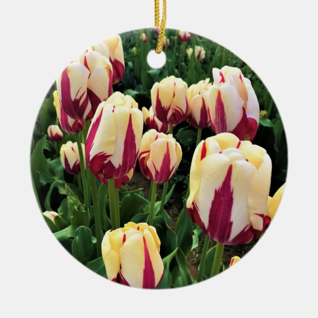 World Expression Tulips, Oregon Keramik Ornament (Vorne)