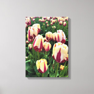 World Expression Tulips, Oregon Leinwanddruck