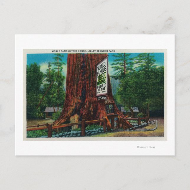 World Famous Tree House, Lilley Redwood Park Postkarte (Vorderseite)
