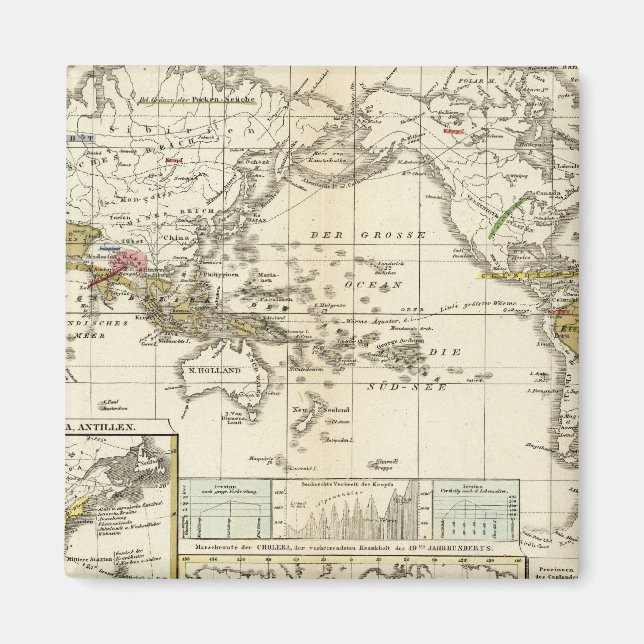 World Map of Diseases Magnet (Vorne)