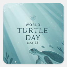 World Turtle Day Underwater Sea Turtle Art