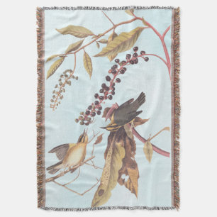 Worm Eating Warbler Audubon Singvogel Decke