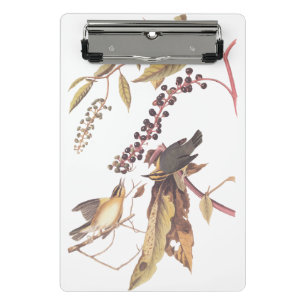 Worm Eating Warbler Audubon Singvogel Mini Klemmbrett