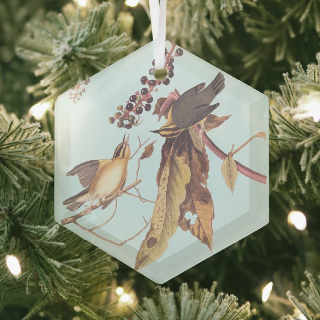 Worm Eating Warbler Audubon Singvogel Ornament Aus Glas (Insitu)