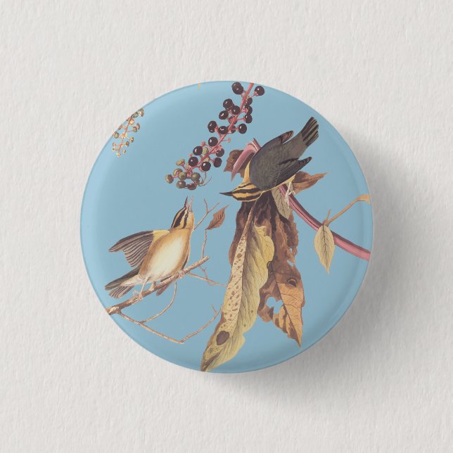 Worm-Eating Warbler Bird Round Button (Vorderseite)