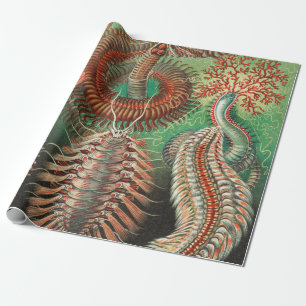 Worms, Annelids Chaetopoda von Ernst Haeckel Geschenkpapier