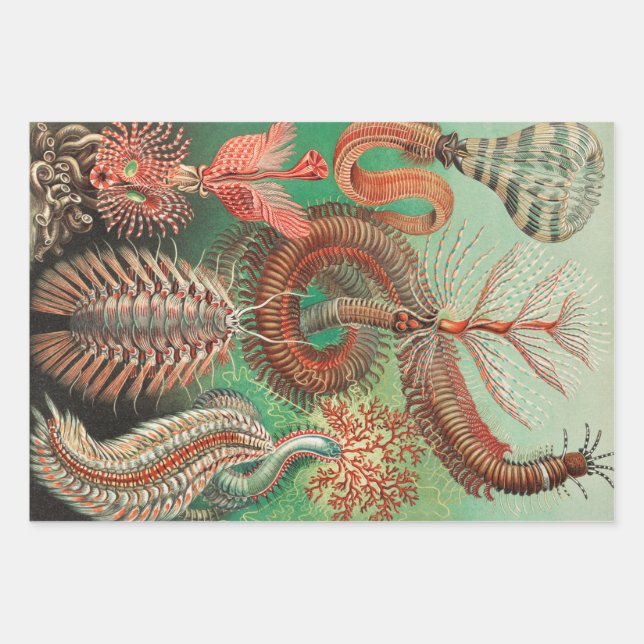 Worms, Annelids Chaetopoda von Ernst Haeckel Geschenkpapier Set (Vorderseite)