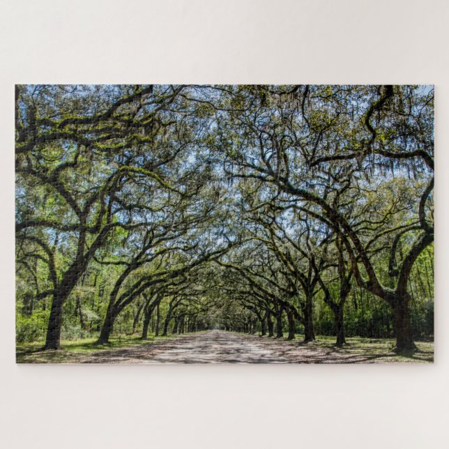 Wormsloe Historic Site (Horizontal)