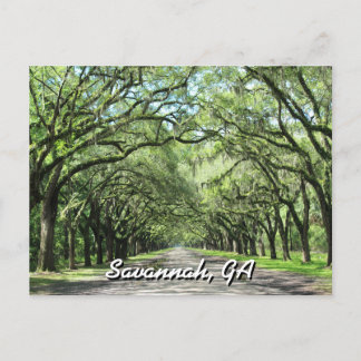 Wormsloe Plantation Savannah Postcard Postkarte