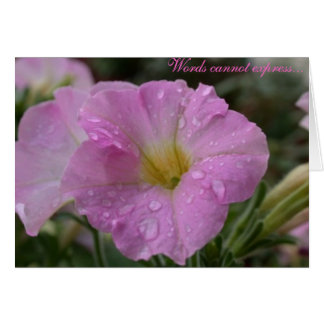 Worte können nicht ausdrücken..