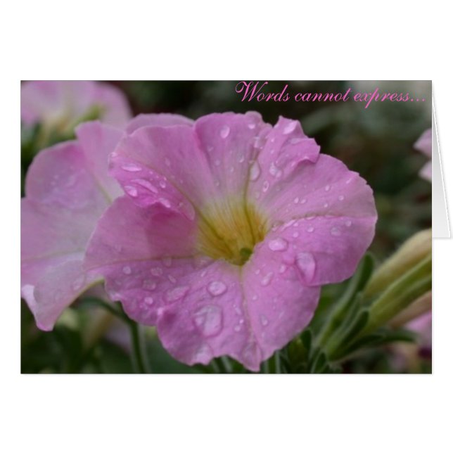 Worte können nicht ausdrücken.. (Vorderseite (Horizontal))