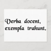Worte zeigen, Beispiele führen.