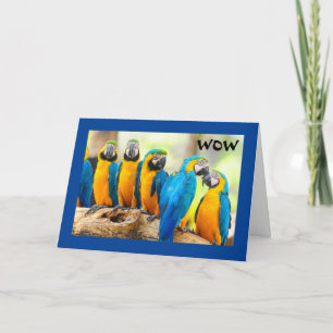 WOW—"21"-COMMENT LE COOL EST ÇA ! CARTE